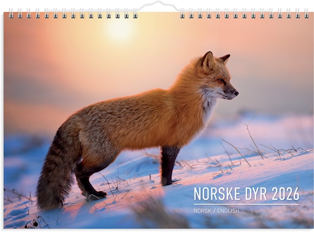 Produktbilde 1 for Veggkalender 2026 A4 Norske Dyr GRIEG