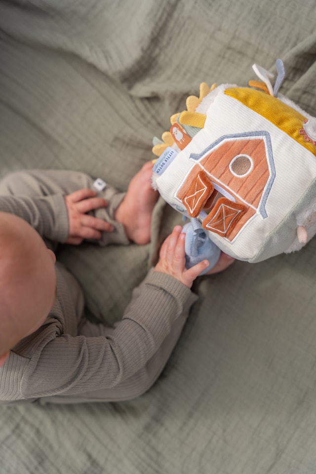 Produktbild 5 för Little Farm Aktivitetkub Little Dutch