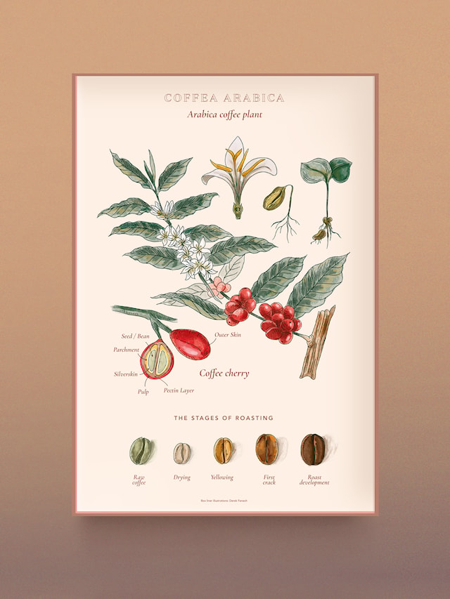 Produktbild 6 för Pussel Coffee Wonderland 1000 bitar, Water & Wines