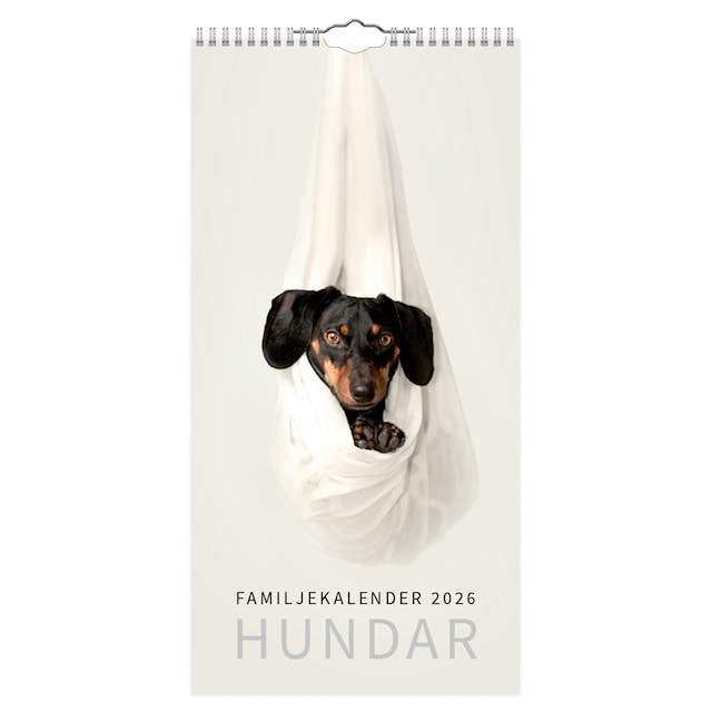 Produktbild 1 för Familjekalender Hundar 2026