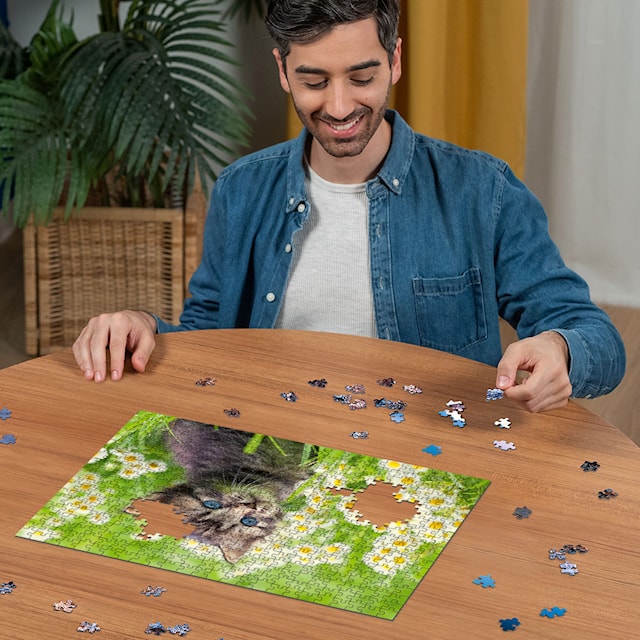 Tuotekuva 2 - Kitten In The Meadow Palapelit 500 palaa, Ravensburger