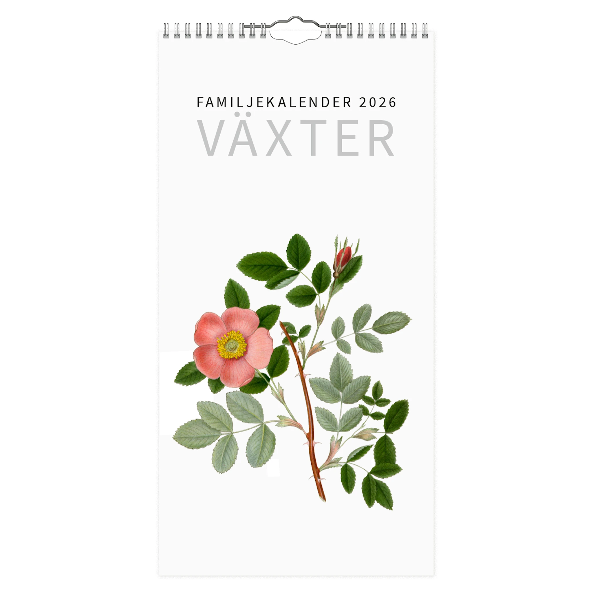 Produktbild för Familjekalender Växter 2026