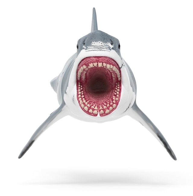 Tuotekuva 2 - Dinosaurukset Megalodon Schleich