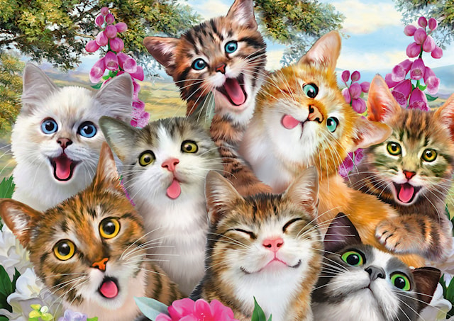 Produktbild 2 för Cat Selfie Pussel 500 bitar Schmidt