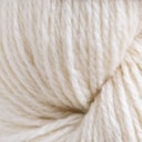 Artic Fox Artic Fox
