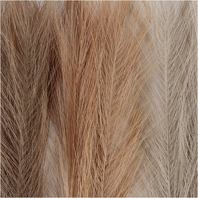 Produktbilde 3 for Pampas gress, L: 50 cm, lys pulver, lys brun, lys grå, 3 stk./ 1 bunt