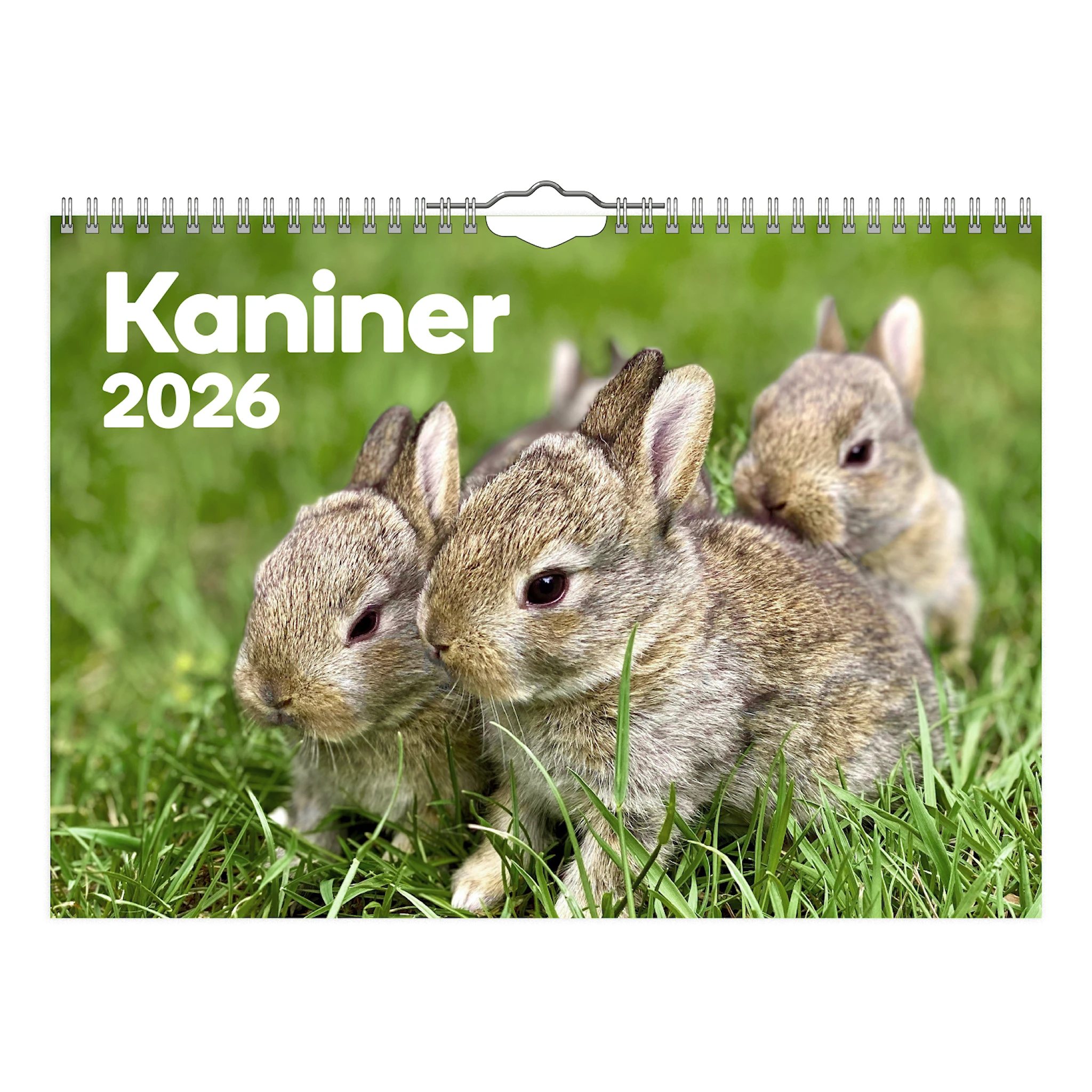 Produktbild för Väggkalender Kaniner Small 2026