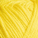 Blazing Yellow Blazing Yellow