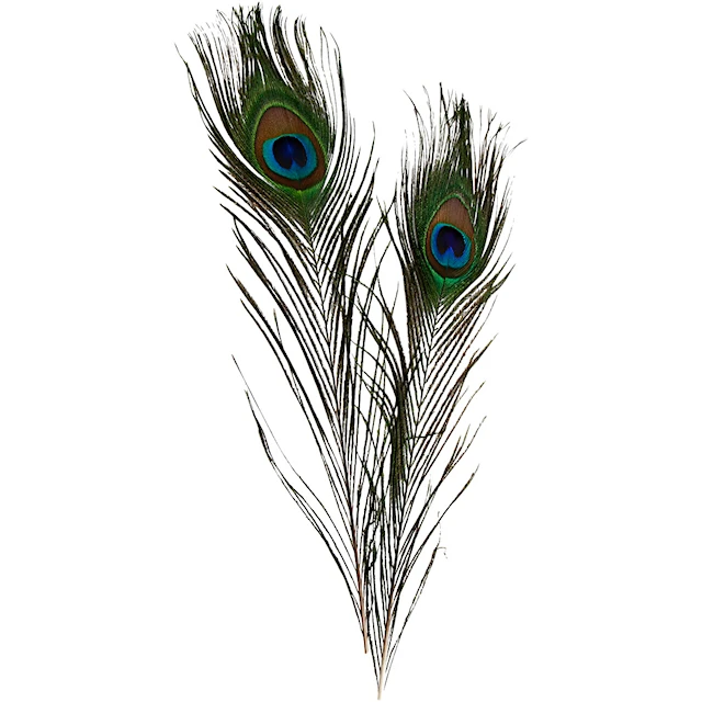 Påfågelfjädrar 25-30 cm 10-pack