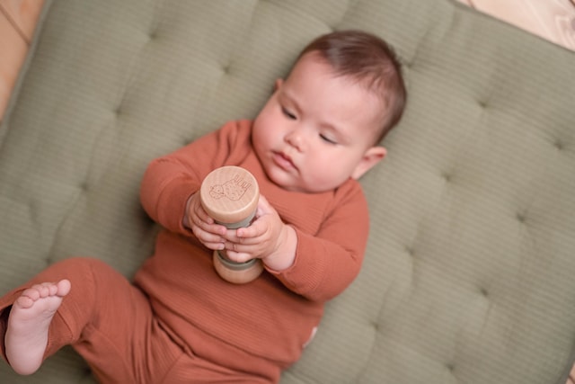 Produktbild 4 för Little Farm Regnmakare Skallra Little Dutch