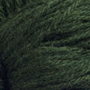 Pine Tree Green