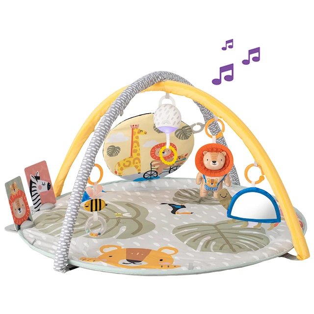 Savannah 360 Babygym