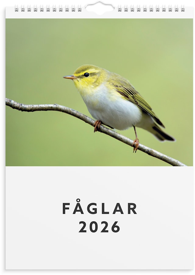 Tuotekuva 1 - Väggkalender 2026 A4 Fåglar Burde