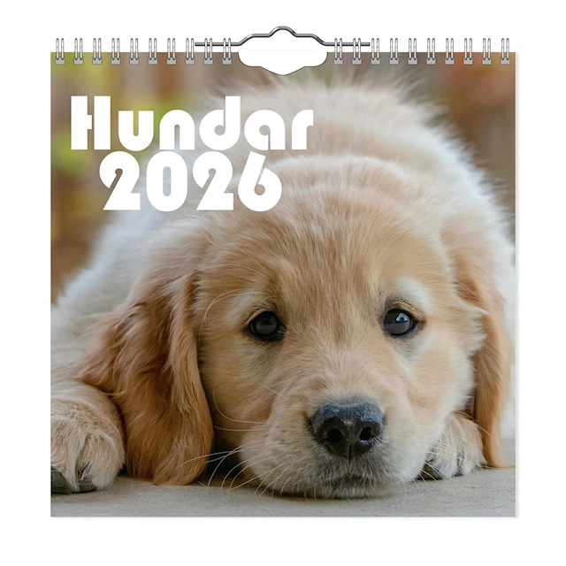 Väggkalender Hundar Mini 2026