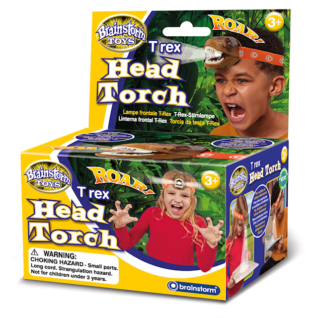 T-Rex Head Torch Brainstorm