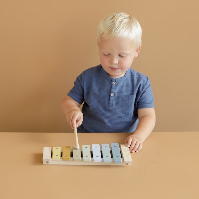 Produktbilde 2 for Xylofonblå, liten nederlandsk