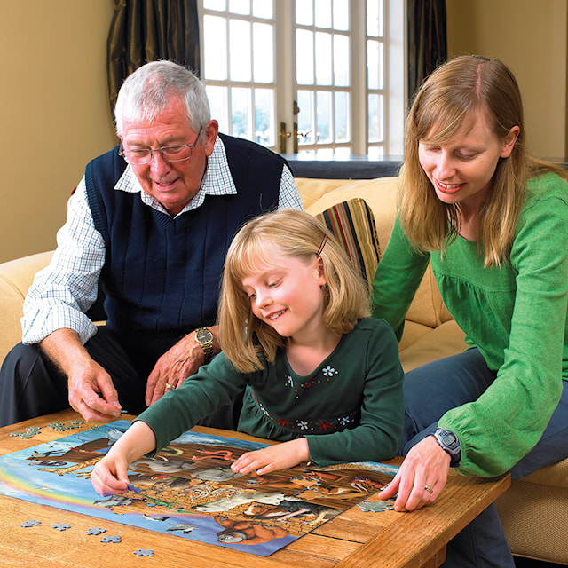 Produktbilde 4 for Puslespill Voyage of the Ark (Family) 350 brikker, Cobble Hill