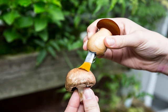 Mushroom Tool Keychain; Kikkerland