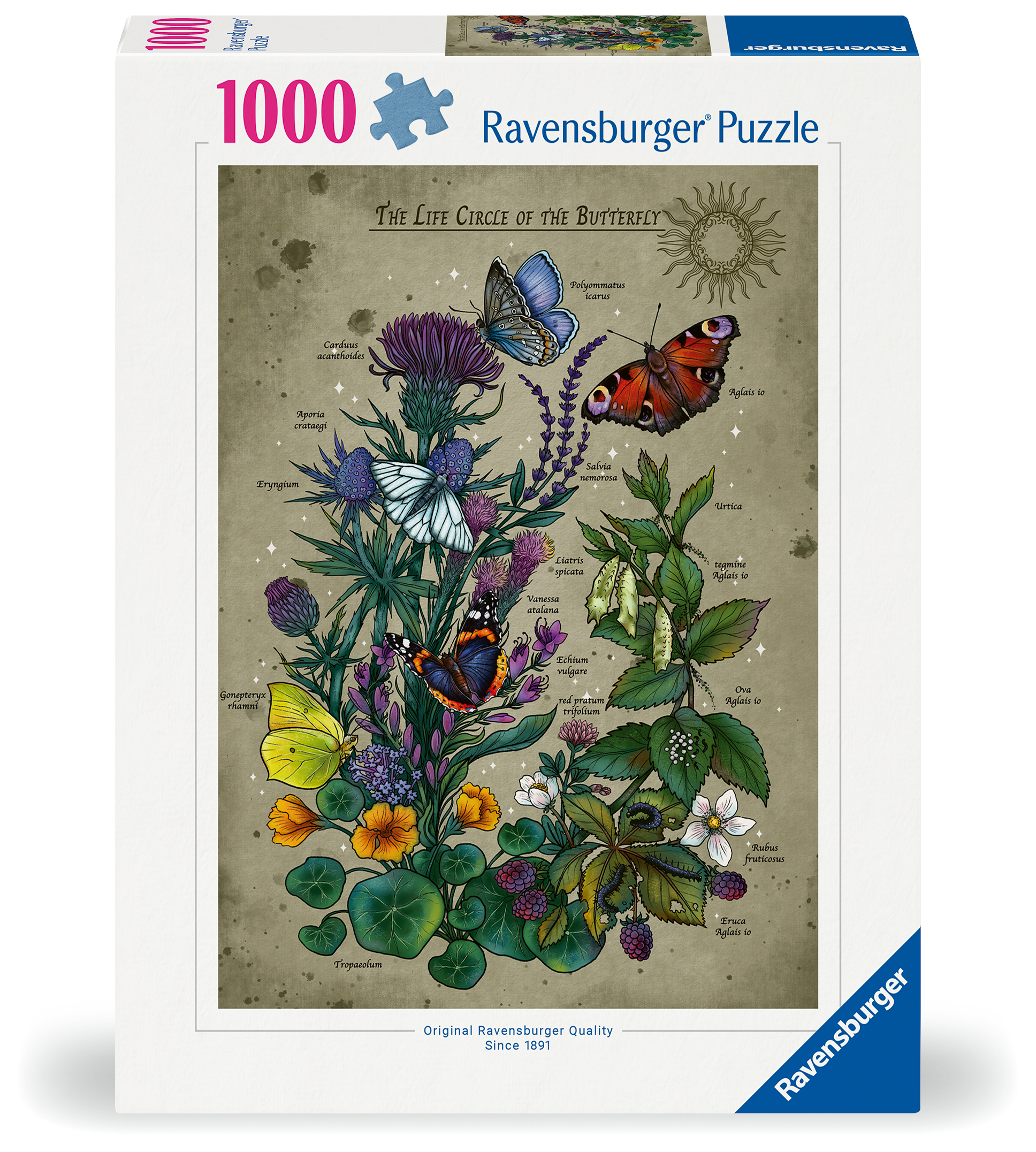 Lifecircle Butterfly Pussel 1000 bitar, Ravensburger