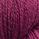 Raspberry Rose