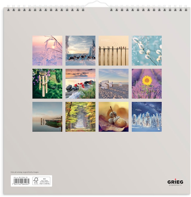 Produktbilde 3 for Billedkalender 2026 Carpe Diem 300x300 mm GRIEG