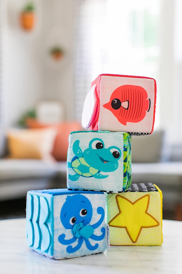 Tuotekuva 4 - Tutki ja löydä -pehmeät palikat Baby Einstein