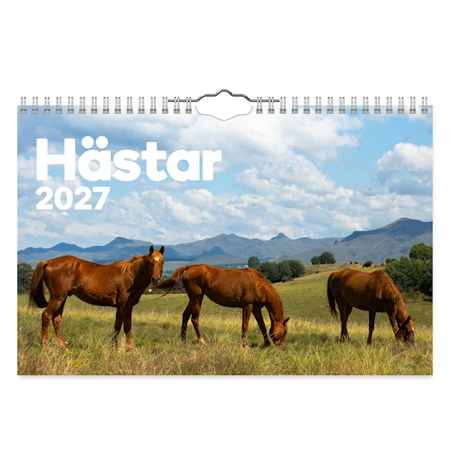 Väggkalender Hästar Medium 2027 Gullers