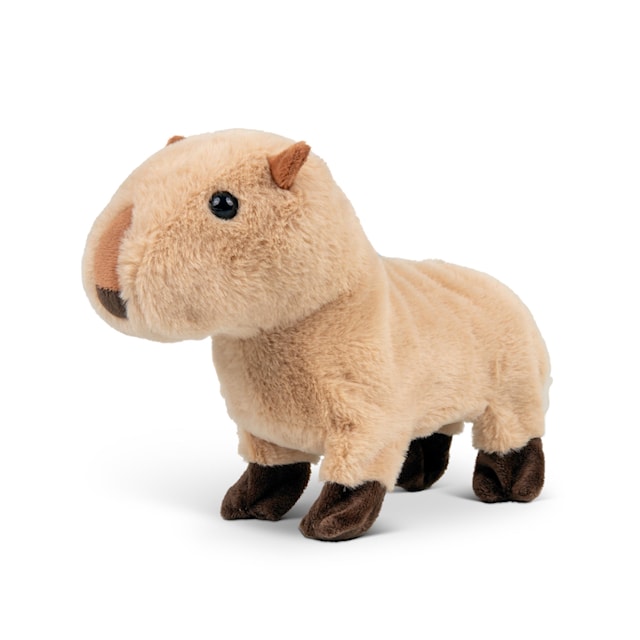 Produktbild 5 för Animigos Curious Capybara Tobar