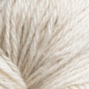 Arctic Fox