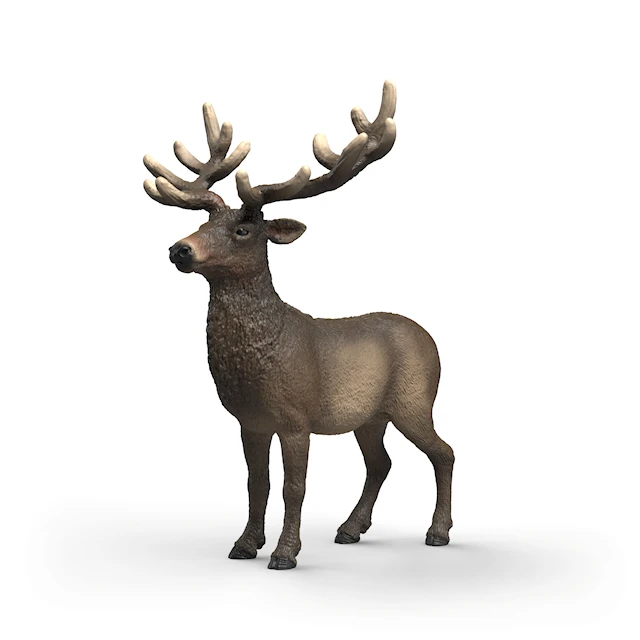 Elk Schleich