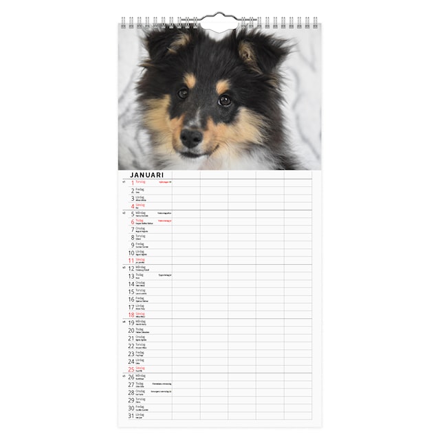 Produktbild 2 för Familjekalender Hundar 2026
