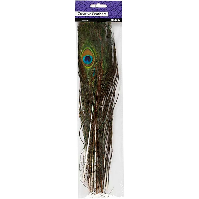 Tuotekuva 2 - Riikinkukonsulat, Pit. 25-30 cm, 10 kpl/ 1 pkt