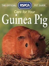 The Official RSPCA Pet Guide - Care for your Guinea Pig