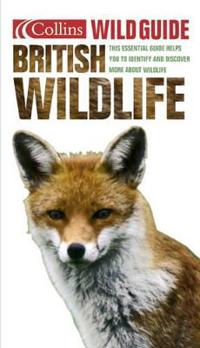 Collins Wild Guide - British Wildlife