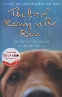The art of racing in the rain