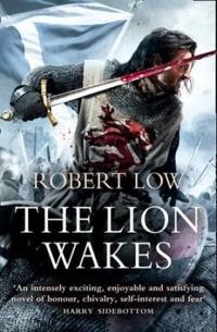Lion wakes