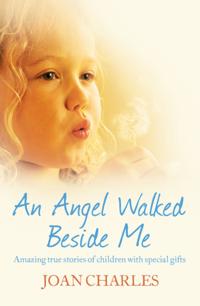 Angel Walked Beside Me