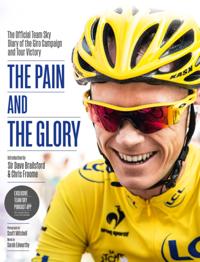 Pain and the Glory
