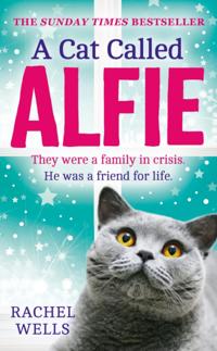 Cat Called Alfie