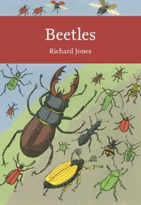 Bokomslag för "Beetles"