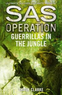 SAS Operation