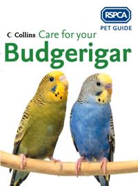 RSPCA Pet Guide