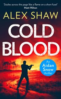 Aidan Snow SAS Thriller