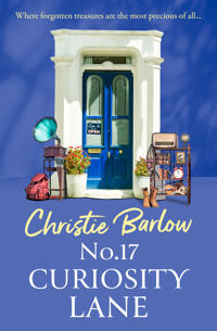 No. 17 Curiosity Lane