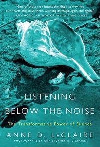 Listening Below the Noise: The Transformative Power of Silence