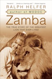 Zamba