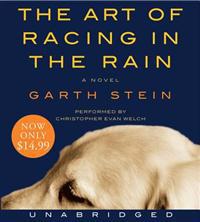 Art of Racing in the Rain