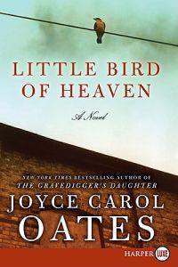 Bokomslag för Little Bird of Heaven LP