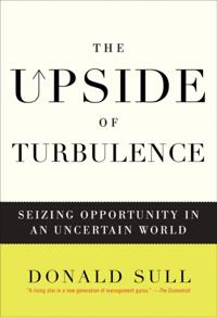 Upside of Turbulence
