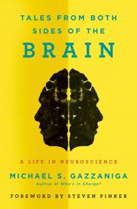 Tales from Both Sides of the Brain